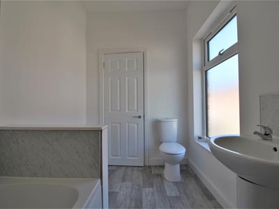 Picture 11